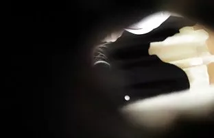 XXX Pantat besar cerita sex sedarah hot terbaru untuk kontol besar