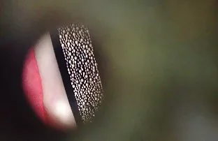 XXX Pantat bagus cerita seks pembantu binal dengan cewek ini!